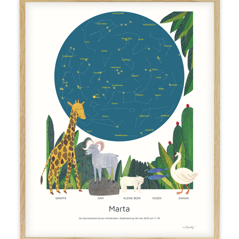 MrStarsky x Marta Abad Blay