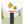 MrStarsky Ansichtkaarten Set (6 stuks)