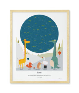 MrStarsky x Studio Kars+Boom sterrenhemel poster