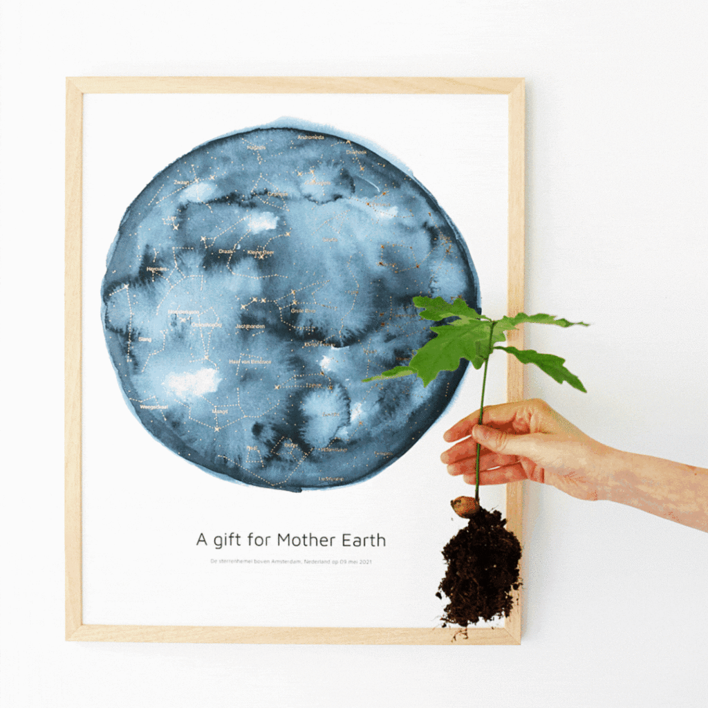 MrStarsky x AQUA GOLD