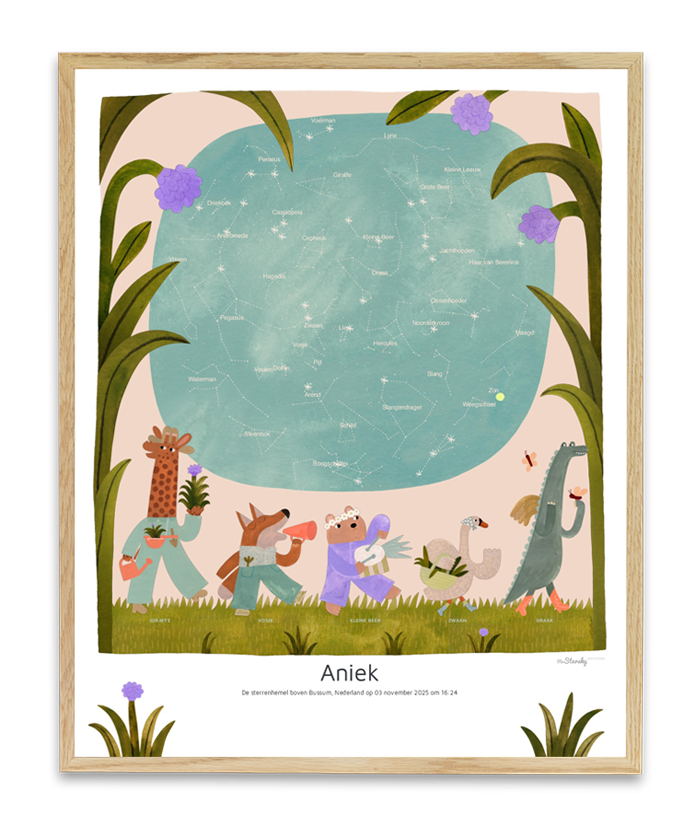 Sterrenhemel poster MrStarsky x Aniek Bartels